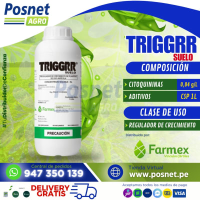 TRIGGRR SUELO