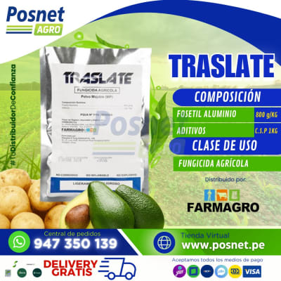 TRASLATE 80 WP