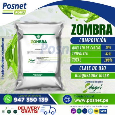 ZOMBRA