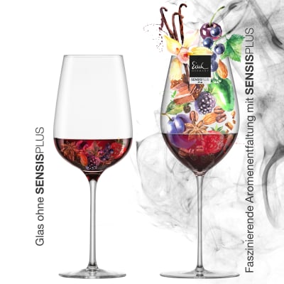 ¿QUÉ ES SENSISPLUS?