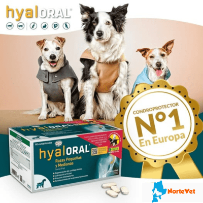 HTALORAL