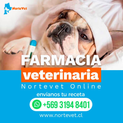 FARMACIA VETERINARIA