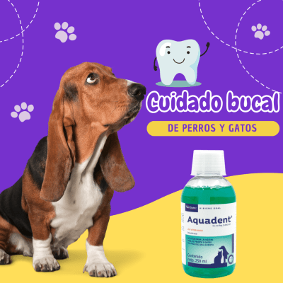ENJUAGUE BUCAL
