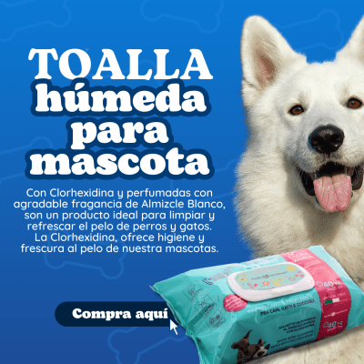 TOALLA HÚMEDA