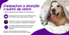 purplecreativepetshopbanner 1728x879px 18831