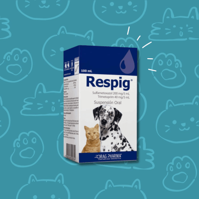 Respig Suspensión Oral 100 ml