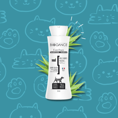 Shampoo Dark Black 250 ml.