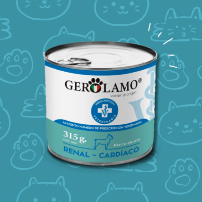 Gerolamo Lata Perro Renal Cardiaco