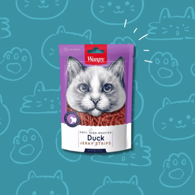 Snack Gato Wanpy Pato 80 grs