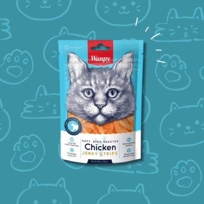 Snack Gato Wanpy Pollo 80 grs