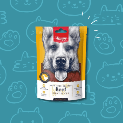 Snack Perro Wanpy Beef 100 grs