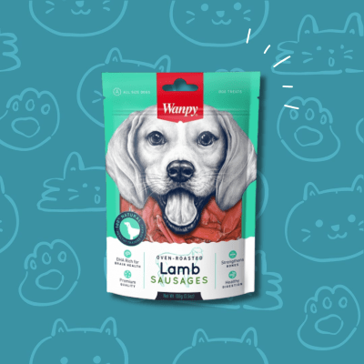 Snack Perro Wanpy Lamb 100 grs