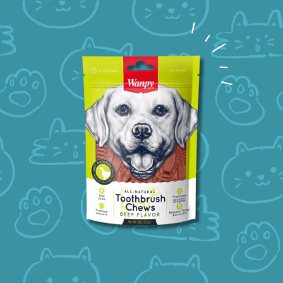 Snack Perro Wanpy Toothbrush Chews (Beef) 100 grs