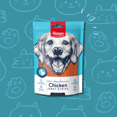 Wanpy Jerky Strips Dog Chicken 100 grs