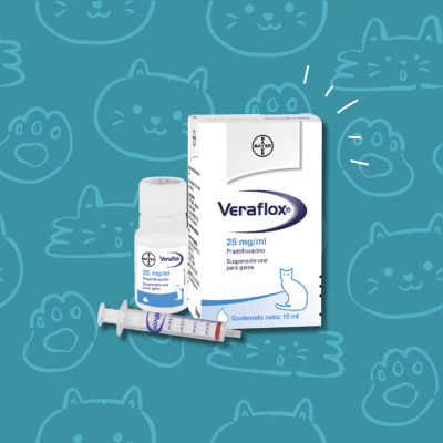 Veraflox 25 Mg/Ml susp.oral gatos x 15 Ml