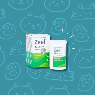 Zeel Heel 100 Comprimidos uso oral