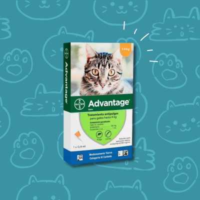 Advantage Gatos Pipeta