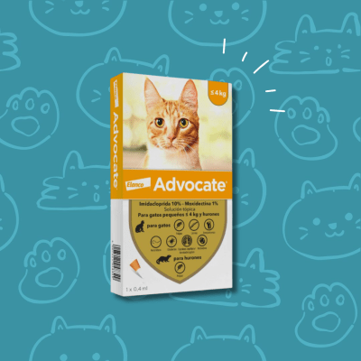 Advocate Gatos Pipeta 
