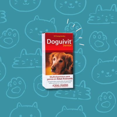 Doguivit Senior
