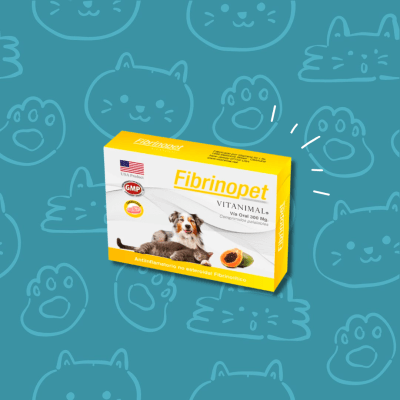 Fibrinopet Perros y Gatos 10 comprimidos 300 mg.
