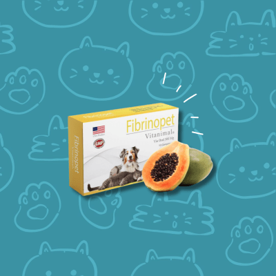 Fibrinopet Perros y Gatos 30 comprimidos 300 mg