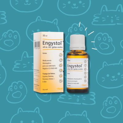 Heel Engystol Sol. Oral Gotas 100 Ml.
