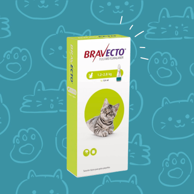 Bravecto Gato Pipeta