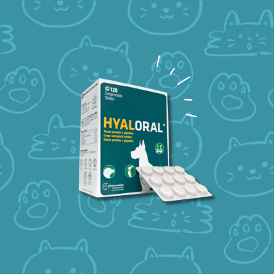 Hyaloral para Perros de Razas Grandes y Gigantes (sobre los 20 kg), 12 Comprimidos