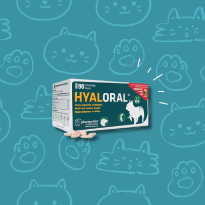 Hyaloral para Perros de Razas Pequeñas y Medianas (hasta los 20 kg), 10 comprimidos. 