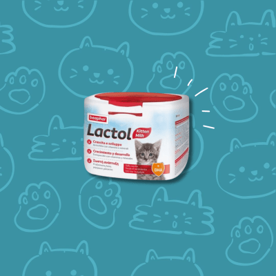 Lactol Gato Polvo