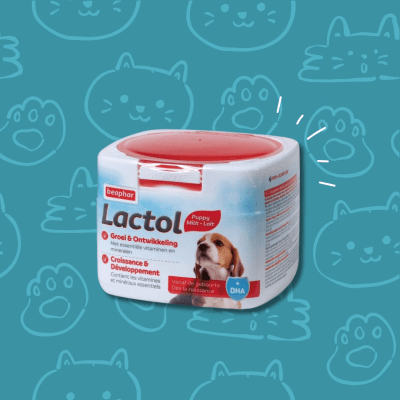 Lactol Perro Polvo