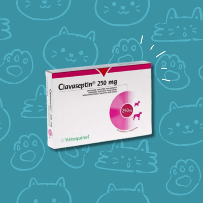 Clavaseptin 10 comprimidos Masticables, 250 Mg