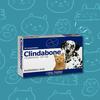 Clindabone 165 mg X 20 comprimidos