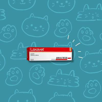 Laxavet Pasta Oral