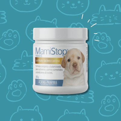Mamistop Sustituto Lacteo Polvo Perro 125 grs