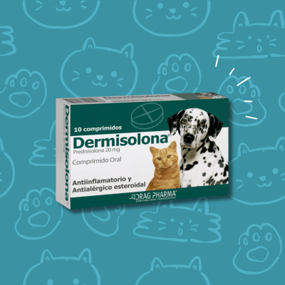Dermisolona 20 grs. 10 comprimidos