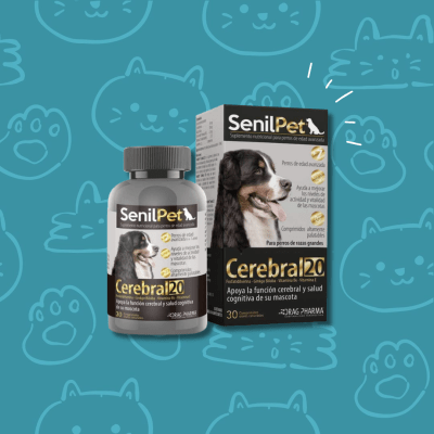 Senilpet Cerebral 20, 30 comprimidos