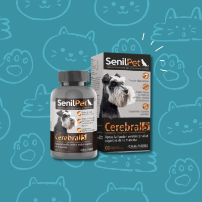 Senilpet Cerebral 5 , 60 comprimidos