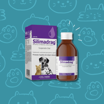 Silimadrag Suspension Oral 120 ml