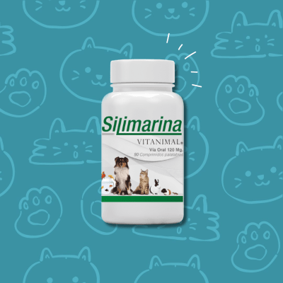 Silimarina 120 mg , 90 comprimidos