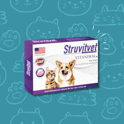 Struvitvet Perro Gato