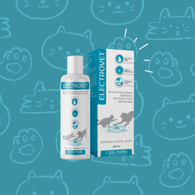Electrovet Solución Oral 500 ml