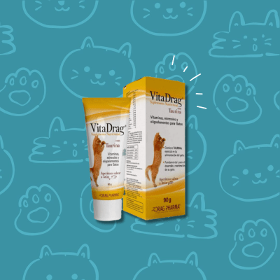 Vitadrag Pasta Oral x 90 grs