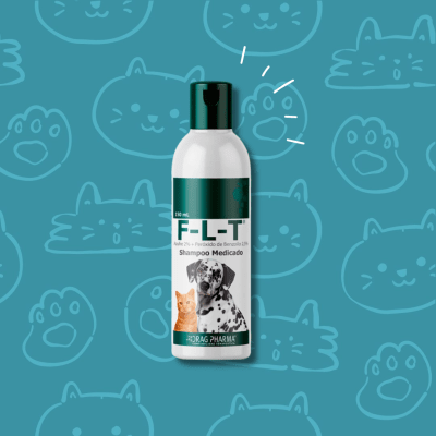 F-L-T Shampoo medicado 150 ml