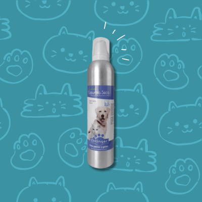 Espuma Seca Spray Ehlinger