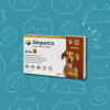 Simparica 20 mg. 5 - 10 Kilos, 3 comprimidos1