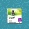 Drontal Plus Caja 2 Comprimidos1