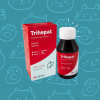 Trihepat Jarabe Oral 100 ml1