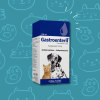 Gastroenteril Suspensión Oral Perros Y Gatos 120 ml1