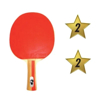 Paleta Ping Pong Master Clásica 2 Estrellas